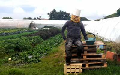 La journée « De Ferme en Ferme »